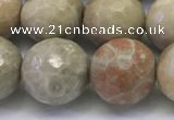 CAA3965 15.5 inches 14mm faceted round chrysanthemum agate beads