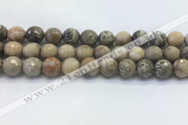 CAA3965 15.5 inches 14mm faceted round chrysanthemum agate beads