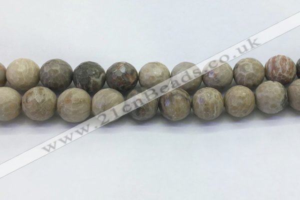 CAA3966 15.5 inches 16mm faceted round chrysanthemum agate beads