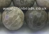 CAA3968 15.5 inches 20mm faceted round chrysanthemum agate beads