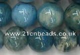 CAA3979 15.5 inches 10mm round chrysanthemum agate beads