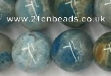 CAA3980 15.5 inches 12mm round chrysanthemum agate beads