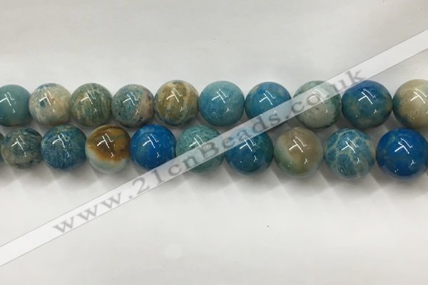 CAA3981 15.5 inches 14mm round chrysanthemum agate beads