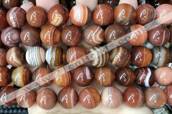 CAA4030 15.5 inches 14mm round line agate beads wholesale