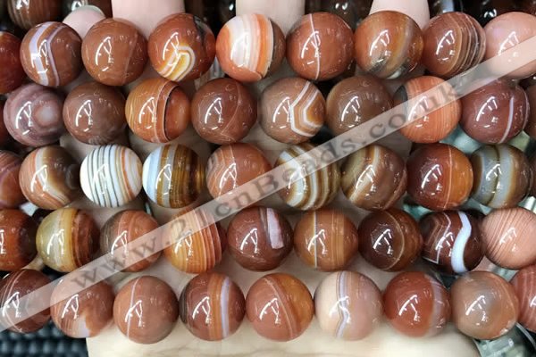 CAA4030 15.5 inches 14mm round line agate beads wholesale