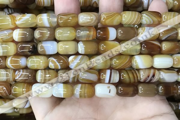 CAA4151 15.5 inches 8*12mm drum line agate beads wholesale