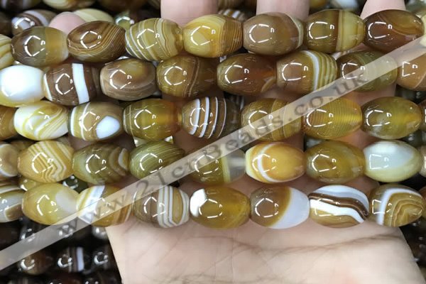 CAA4160 15.5 inches 12*16mm rice line agate beads wholesale