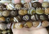 CAA4162 15.5 inches 15*20mm rice line agate beads wholesale