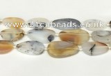 CAA4394 15.5 inches 18*28mm - 30*45mm freeform Montana agate beads