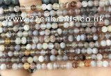 CAA4915 15.5 inches 4mm round Botswana agate beads wholesale