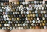 CAA4920 15.5 inches 4mm round ocean agate beads wholesale