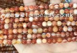 CAA4950 15.5 inches 6mm round Madagascar agate beads wholesale