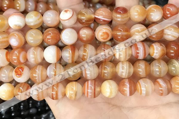 CAA4952 15.5 inches 10mm round Madagascar agate beads wholesale