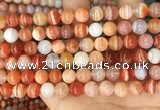 CAA5002 15.5 inches 8mm round red botswana agate beads wholesale