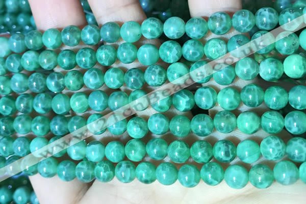 CAA5021 15.5 inches 6mm round green dragon veins agate beads