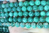 CAA5023 15.5 inches 10mm round green dragon veins agate beads