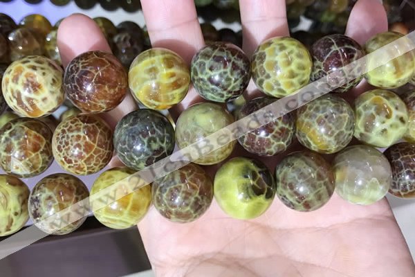 CAA5043 15.5 inches 18mm round yellow dragon veins agate beads