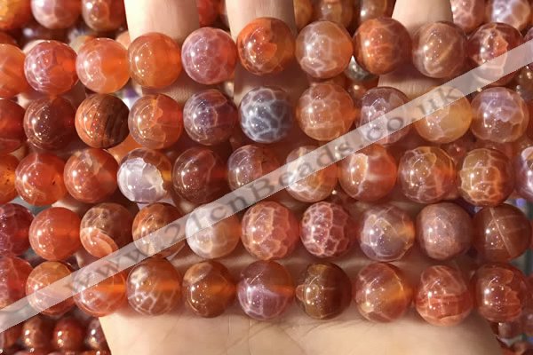 CAA5074 15.5 inches 12mm round red dragon veins agate beads