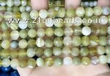 CAA5157 15.5 inches 6mm faceted round banded agate beads