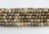 CAA5291 15.5 inches 6mm faceted round crazy lace agate beads wholesale