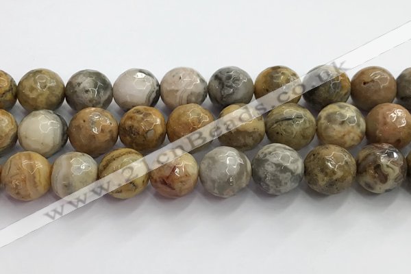 CAA5294 15.5 inches 12mm faceted round crazy lace agate beads wholesale