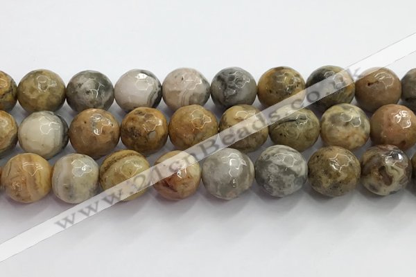 CAA5295 15.5 inches 14mm faceted round crazy lace agate beads wholesale