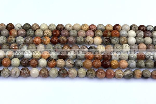 CAA5810 15 inches 6mm round chrysanthemum agate beads