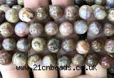 CAA6269 15 inches 12mm round fire agate gemstone beads