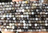 CAA6300 15 inches 4mm round Botswana agate gemstone beads