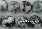 CAA705 15.5 inches 16mm round tree agate gemstone beads wholesale