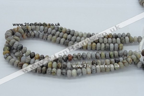 CAB142 15.5 inches 6*10mm rondelle bamboo leaf agate beads