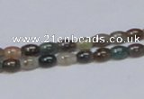 CAB437 15.5 inches 4*6mm rice indian agate gemstone beads wholesale