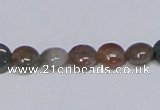 CAB448 15.5 inches 8mm flat round indian agate gemstone beads