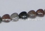 CAB453 15.5 inches 10*10mm heart indian agate gemstone beads