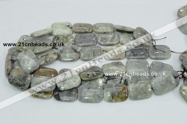 CAB88 15.5 inches 22*30mm rectangle silver needle agate gemstone beads