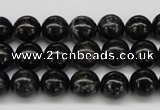 CAE04 15.5 inches 10mm round astrophyllite beads wholesale