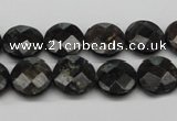 CAE115 15.5 inches 12mm faceted coin astrophyllite beads wholesale