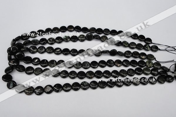 CAE44 15.5 inches 10mm flat round astrophyllite beads wholesale