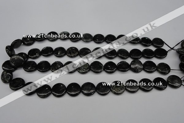 CAE46 15.5 inches 15mm flat round astrophyllite beads wholesale