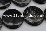 CAE49 15.5 inches 25mm flat round astrophyllite beads wholesale