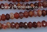 CAG1491 15.5 inches 5*8mm faceted rondelle natural fire agate beads