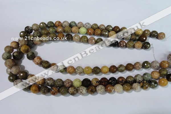 CAG1713 15.5 inches 10mm faceted round rainbow agate beads