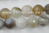 CAG1814 15.5 inches 12mm faceted round Chinese botswana agate beads