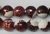 CAG2256 15.5 inches 16mm faceted round fire crackle agate beads