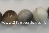 CAG2416 15.5 inches 16mm round Chinese botswana agate beads