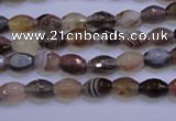 CAG2755 15.5 inches 5*8mm faceted rice botswana agate beads wholesale