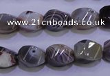 CAG2768 15.5 inches 10*14mm twisted rice botswana agate beads wholesale