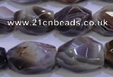 CAG2775 15.5 inches 14*20mm faceted nuggets botswana agate beads wholesale