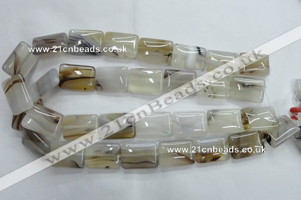 CAG3345 15.5 inches 18*25mm rectangle natural grey agate beads