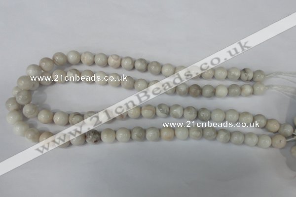 CAG3604 15.5 inches 10mm round natural crazy lace agate beads